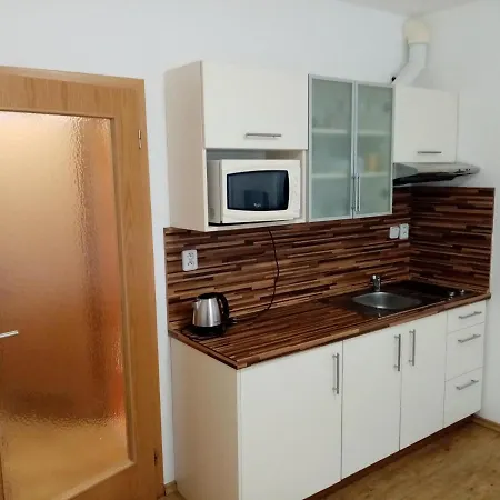 Apartman V Lipne Nad Vltavou 25 Lipno nad Vltavou Buitenkant foto