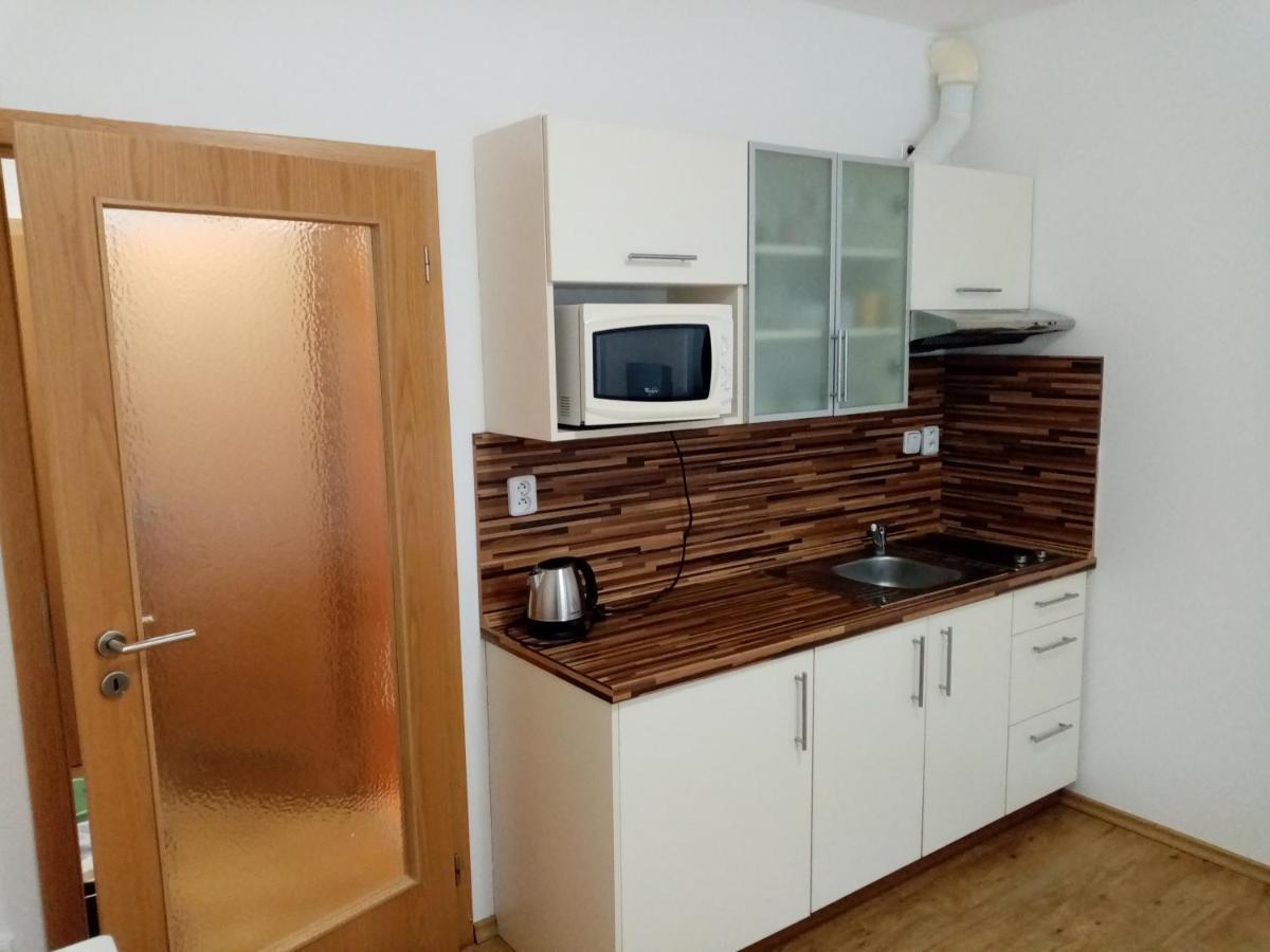 V Lipne Nad Vltavou 25 Apartment *